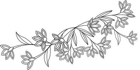 Sketch Floral Botany Collection. Black and white with line art on white backgrounds. Hand Drawn Botanical Illustrations.Vector.