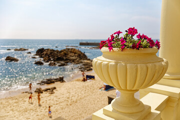 Front de mer à Porto, fleurs en pot sur fond de plage, Praia dos Ingleses, Pergola da Foz