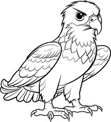 Obraz premium Hawk, colouring book for kids, vector illustration