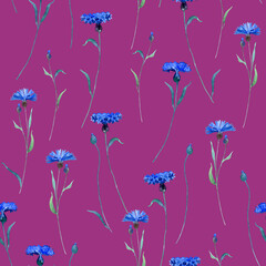 Watercolor delicate wildflowers, cornflowers floral seamless pattern. Blooming meadow tile. Hand drawn elegant, botanical background. Repeatable texture, wrapping paper,wallpaper, fabric, textile