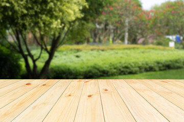 wooden bench in the park