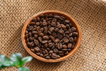 コンゴ産コーヒー豆　ベビーチーター