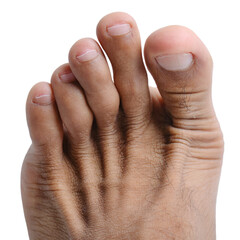 Male Foot Fingers in Various Poses against White or Transparent Background