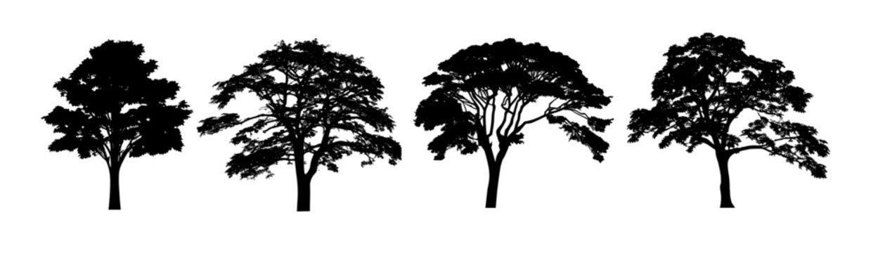 set of tree silhouettes - vector illustration, collection