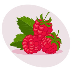 Fresh ripe raspberries, natural summer fruit. Healthy organic food, vector.