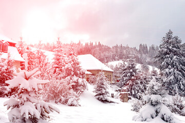 Winter. Winter landscape of snow-covered houses in the forest in the pink sunlight. Heavy cloudy sky. The mountains of the Carpathians. Winter travels