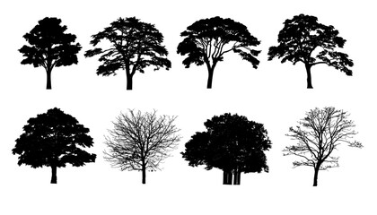 set of tree silhouettes - vector illustration, collection