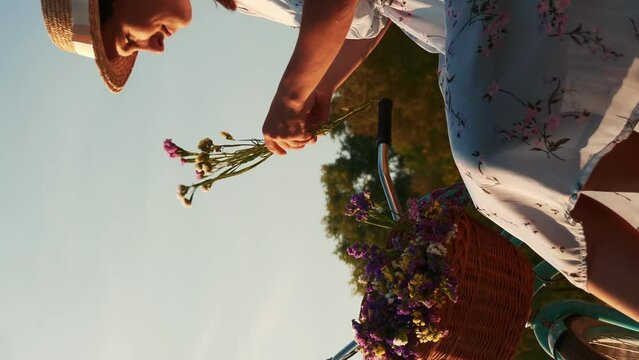Portrait of female putting meadow flowers in basket at sunset. Vertical video
