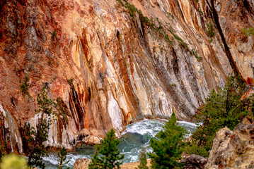 Obraz premium Lower Falls of the Yellowstone from Artist Point
