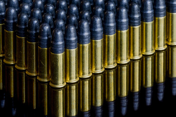 Many small caliber bullets lined up with reflection.