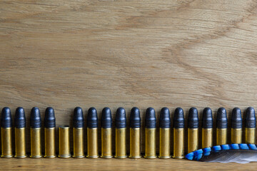 A row of small caliber bullets and one empty cartridge.