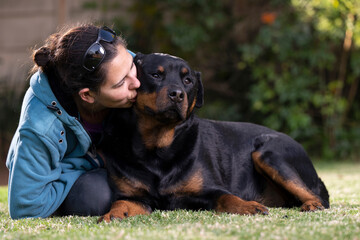 Gorgeous Rottweiler being an absolute teddy bear looking for cuddles with mommy, being very affectionate and loving. Showing the special bond that can exist between a pet and the matriarch of the home