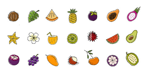 Tropical fruits collection. 21 icons isolated on white. Vector illustration
