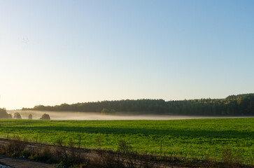 Fototapeta na wymiar Morning Landscape: Green Field with a Blue Sky, Misty Haze Hovering above the Ground