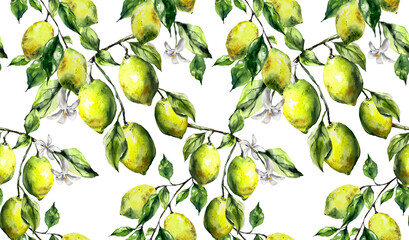 Lemons citrus fruits watercolor botanical illustration seamless pattern textile