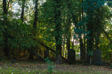 Obraz premium Melancholic Beauty: Serene Autumn Sunset at an Enigmatic German Ancestral Cemetery