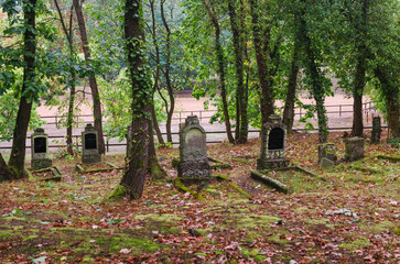 Melancholic Beauty: Serene Autumn Sunset at an Enigmatic German Ancestral Cemetery
