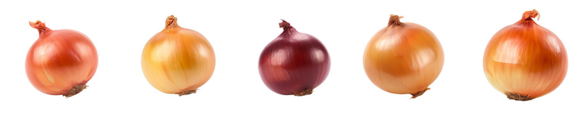 Set of onion isolated on transparent background	