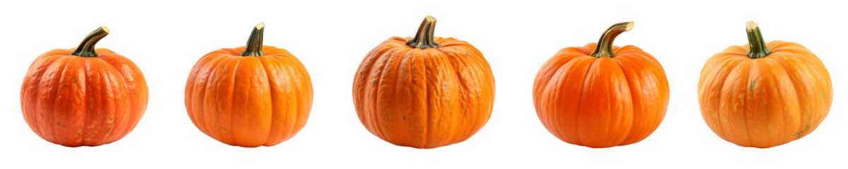 Set of pumpkin isolated on transparent background	