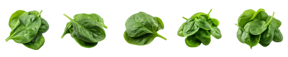 Set of spinach isolated on transparent background	
