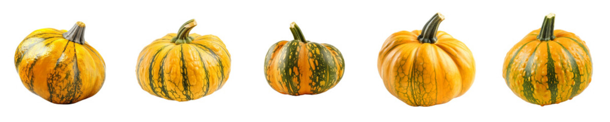 Set of squash isolated on transparent background	