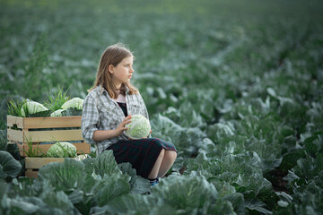 Young girl on the huge green cabbage field holding cabbage in summer