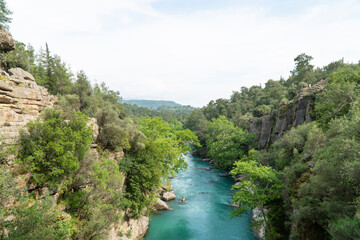 river in the canyon. water is rushing through a naturally formed canyon and rocks with green trees