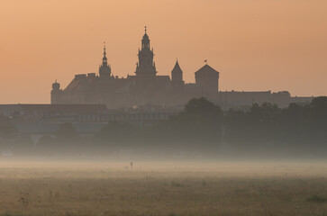 Wawel castle in Krakow seen from the Blonia meadow in the morning.