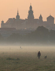 Wawel castle in Krakow seen from the Blonia meadow in the morning.