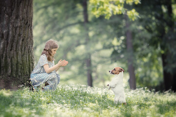 Girl playing with a dog in park on summer day