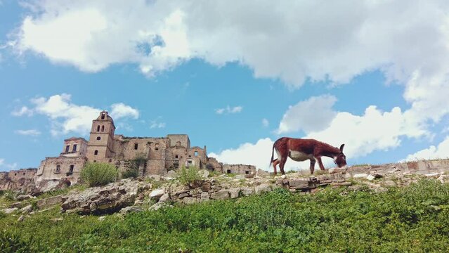 The abandoned village of Craco in the province of Matera and a donkey grazing