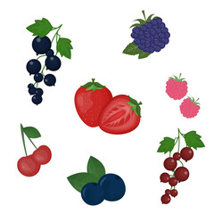 strawberry,cherry and other berries .food vector illustration