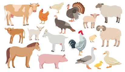 Obraz na płótnie Canvas Set of farm animals in different poses and colors. Cow, sheep, pig, ram, horse and goat. Hen, turkey, duck, goose and kids. Vector icons flat or cartoon illustration.