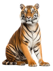 Fototapeta na wymiar Tiger Sitting Isolated on Transparent Background - Generative AI 