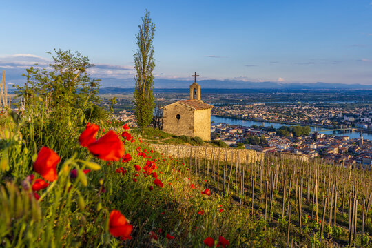 Grand cru vineyard and Chapel of Saint Christopher, Tain l'Hermitage, Rhone-Alpes, France