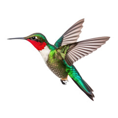 Fototapeta premium Hummingbird Flying Isolated on Transparent Background - Generative AI 