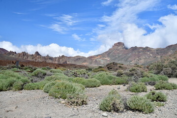 PAISAJE EN EL PARQUE NACIONAL DE LAS CAÑADAS DEL TEIDE