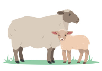 Sheep and baby lamb. Family of sheeps. Farm animal icons. Wool and meat production. Vector flat or cartoon illustration isolated on white background.