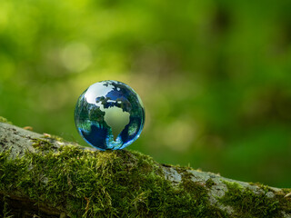 Obraz na płótnie Canvas glass earth globe in the forest