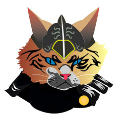 cat warrior