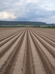 The field  at spring with furrows