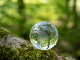 glass earth globe in forest