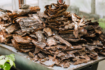 A large pile of pieces of coniferous dry bark in a forest in nature. Close-up photography, nature.
