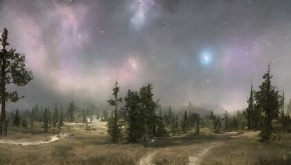 morning in the forest