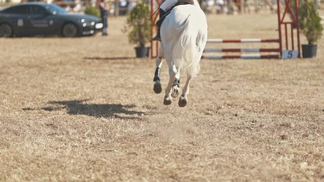 Equestrian sport - young woman riding a white horse at the arena - jumping over a barrier