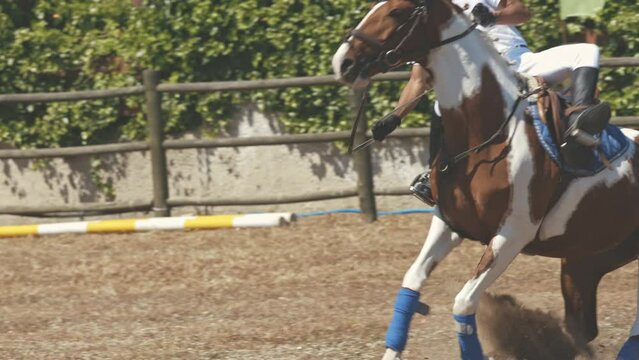 Equestrian sport - rider fell from a brown horse