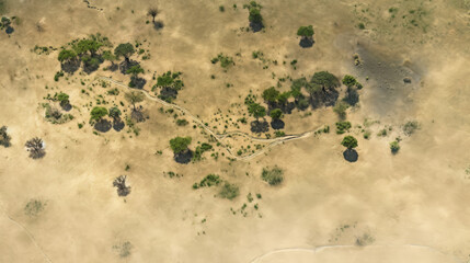Drone, aerial view of african savanna