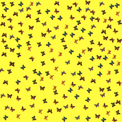 Fototapeta premium Fractoberry Pink With Butterflies