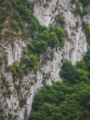 Stunning rocky mountain wall covered by green vegetation