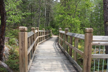 Fototapeta na wymiar Bridge along hiking trail among green trees in wooded forest area.